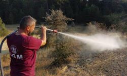 Bolu'da orman kenarında anız yangını: Köylülerin su tankerli müdahalesi faciayı önledi