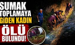 Sumak toplamaya giden kadın ölü bulundu