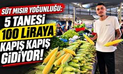 Süt mısır yoğunluğu: 5 tanesi 100 liraya kapış kapış gidiyor!
