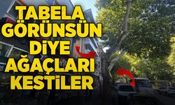 Tabela görünsün diye ağaçları kestiler