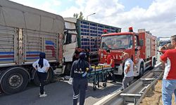 Tavuk yüklü tır, kamyona çarptı: 2 yaralı