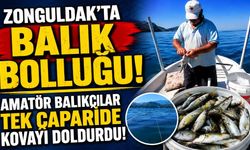 Zonguldak Denizi Bereketiyle Geldi: Amatör Balıkçılar Tek Çaparide Kovayı Doldurdu!
