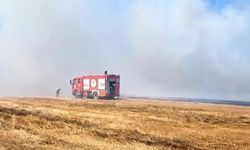 Tekirdağ'da anız yangını