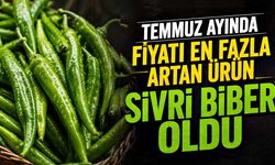 Temmuz ayında markette fiyatı en fazla artan ürün sivri biber oldu