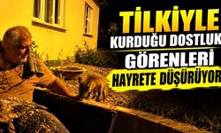 Tilkiyle kurduğu dostluk görenleri hayrete düşürüyor