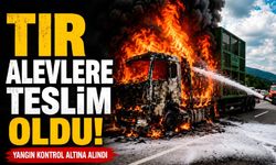 Seyir halindeki tır alevlere teslim oldu