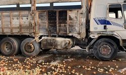 Kamyon devrildi, tonlarca soğan yola saçıldı: 2 yaralı
