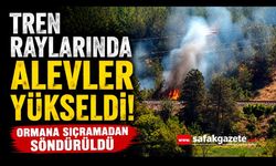 Tren raylarında çıkan yangın büyümeden söndürüldü