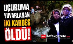 Uçuruma yuvarlanan iki kardeş hayatını kaybetti