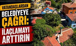 Vatandaşlardan belediyeye çağrı: İlaçlamayı arttırın