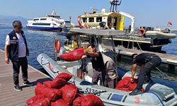 Yasa dışı kara midye operasyonu: 560 kilogram kara midyeye el konuldu