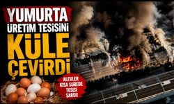 Alevler yumurta üretim tesisini küle çevirdi