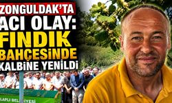 Zonguldak'ta acı olay: Fındık bahçesinde kalbine yenildi