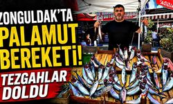 Zonguldakta palamut sevinci