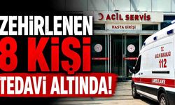 Tavuk yiyen 8 kişi zehirlendi