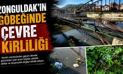 Zonguldak’ın göbeğinde çevre kirliliği