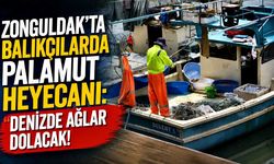 Zonguldak'ta balıkçılarda palamut heyecanı: Denizde ağlar dolacak!