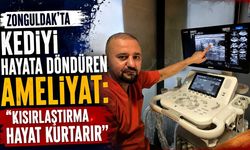 Zonguldak'ta kediyi hayata döndüren ameliyat: "Kısırlaştırma hayat kurtarır"