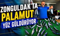Zonguldak'ta palamut yüz güldürüyor