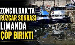 Zonguldak'ta rüzgar sonrası limanda çöp birikti