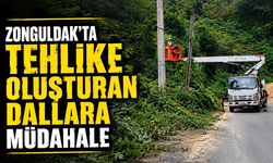 Zonguldak’ta tehlike oluşturan dallara müdahale