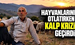 Hayvanlarını otlatırken kalp krizi geçirdi