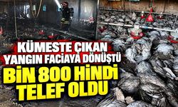 Kümeste çıkan yangın faciaya dönüştü; Bin 800 hindi telef oldu