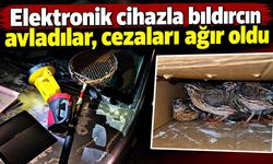 Elektronik cihazla bıldırcın avladılar, cezaları ağır oldu