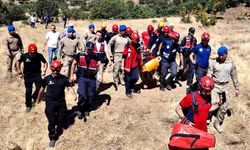 177 kişilik dev aramada mutlu son