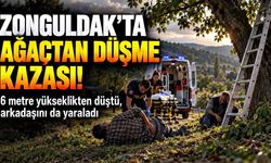 Ağaçtan düştü, merdiveni tutan kişi de yaralandı