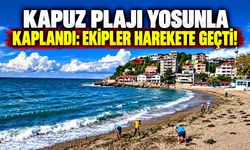 Sağanak Yağış Sonrası Kapuz Plajı Yosunla Kaplandı: Ekipler Harekete Geçti!
