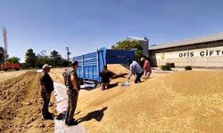 92 noktada dev alım: TMO 2 milyon tona ulaştı
