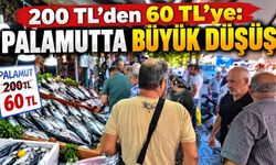 Bartın’da palamut 60 TL’ye düştü, vatandaş tezgaha akın etti
