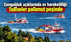 Zonguldak açıklarında av hareketliliği: Tekneler palamut peşinde