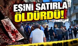 Eşini satırla öldüren şahıs tutuklandı