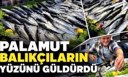 Balıkçıların yüzünü palamut bolluğu güldürdü