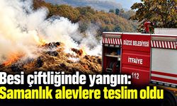 Düzce’de besi çiftliğinde yangın: Samanlık alevlere teslim oldu
