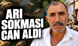 Çorum’da arı sokması sonrası fenalaştı, hayatını kaybetti