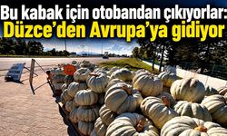 Bu kabak için otobandan çıkıyorlar: Düzce’den Avrupa’ya gidiyor