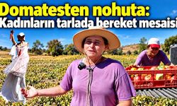 Tarlada üretiyor, pazarda kendi elleriyle satıyorlar