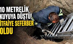 10 metre derinliğindeki kuyuya düşen köpeği itfaiye kurtardı