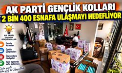 AK Parti Gençlik Kolları 2 bin 400 esnafa ulaşmayı hedefliyor