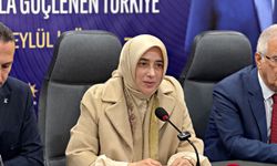 AK Parti Grup Başkanvekili Özlem Zengin: "Kim yanlış yaptıysa hesabını verecek"