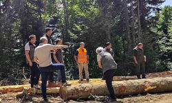 Bolu’da ormancılık faaliyetlerine saha denetimi