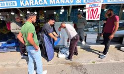 Düzce’de palamut tezgâha iner inmez sıra oluştu: Tanesi 100 lira