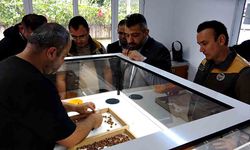 Fındıkta yüksek randıman fiyatı 280 liraya taşıyor