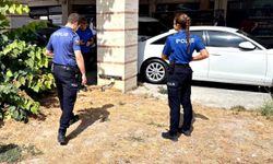 Esnafın beslediği kedi bacakları kesilmiş halde bulundu