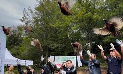 Bartın'da 300 sülün doğaya salındı