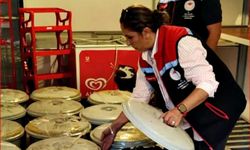 18 kovadan 650 kilo midye çıktı: Tamamı imha edildi