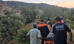 Bingöl'de kaybolan şahıs ormanlık alanda bulundu